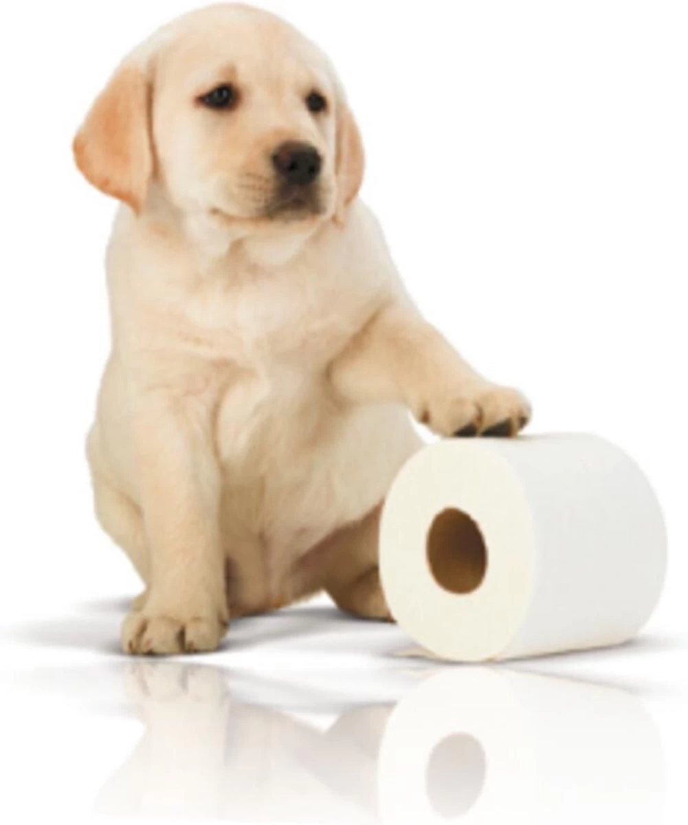 Page Toiletpapier - 32 Rollen - Kussenzacht Wc Papier (3-laags) - Voordeelverpakking - Afbeelding 6