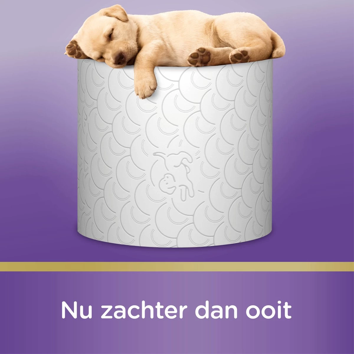 Page Toiletpapier - 42 Rollen - Kussenzacht Wc Papier (3-laags) - Voordeelverpakking - Afbeelding 11