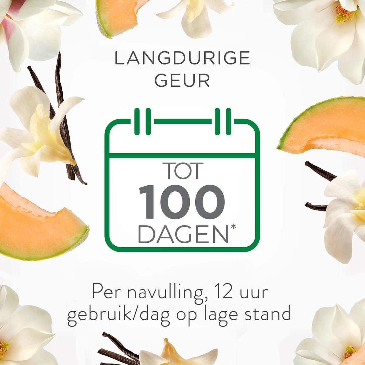 Air Wick Elektrische Luchtverfrisser - Zalige Zomer - 3 Navullingen - Afbeelding 5